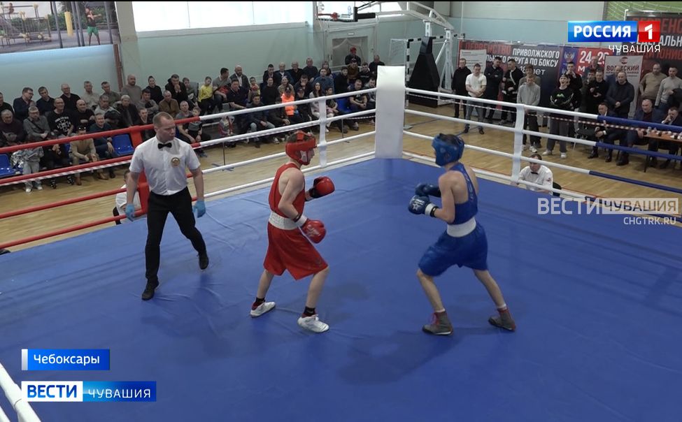 Боксеры Чувашии завоевали 9 медалей на юниорском первенстве Приволжья