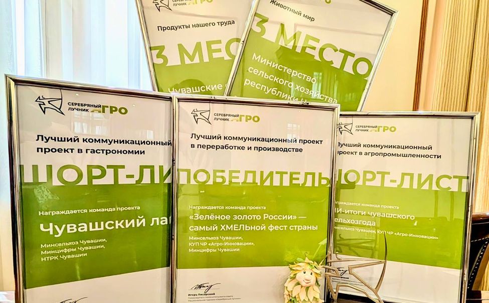 ХМЕЛЬной фестиваль из Чувашии получил престижную PR-премию