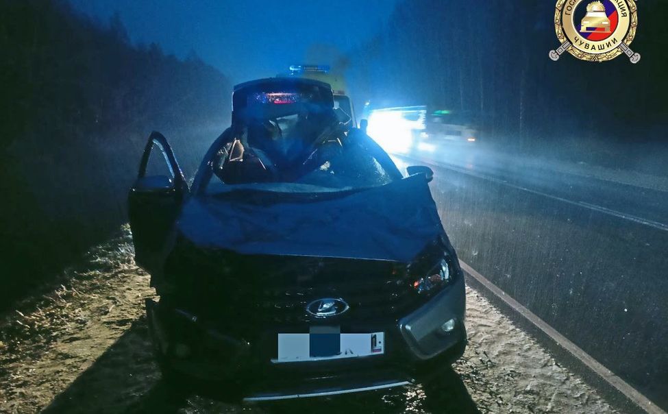 В Чувашии водитель сбил лося