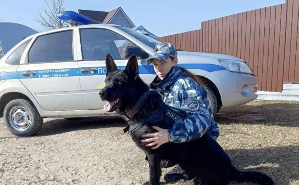 Житель Шумерли ударил ножом в горло мужчину 