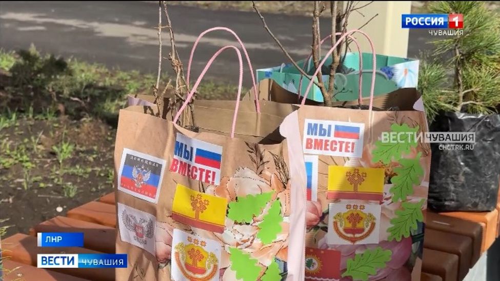 В Краснодонском районе ЛНР высадили деревья из Чувашии  