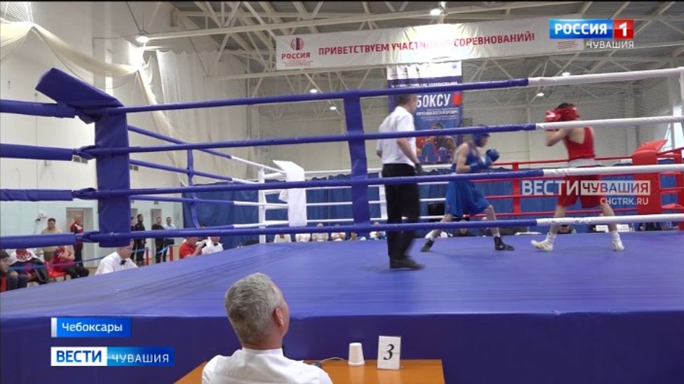 В Чебоксарах более 140 боксеров из 33 регионов борются за награды «Кубка профсоюзов»