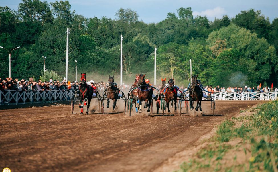 24 июня в Новочебоксарске в третий раз пройдут конные бега на Кубок Главы Чувашии