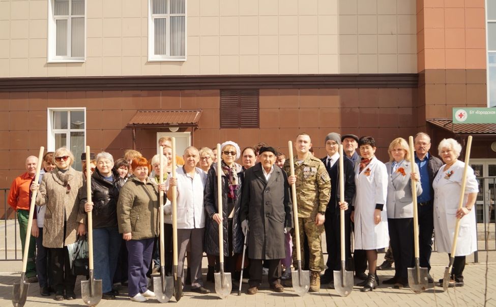 У Центральной городской больницы высадили «Аллею Победы»