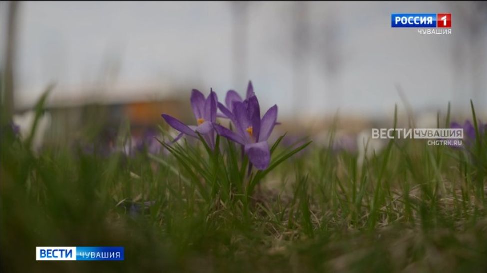 В Чувашии погода на Пасху может установить температурный рекорд