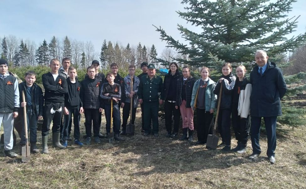 В Чувашии посадили деревья в честь героев СВО