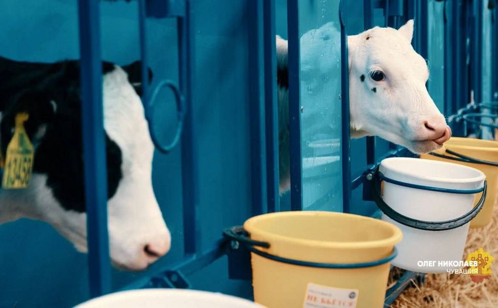 В Чувашии направят 44,7 млн рублей для помощи сельхозпроизводителям