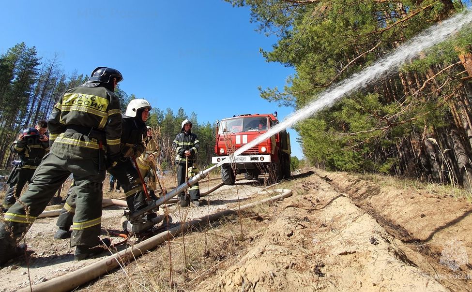 В Порецком округе произошел лесной пожар