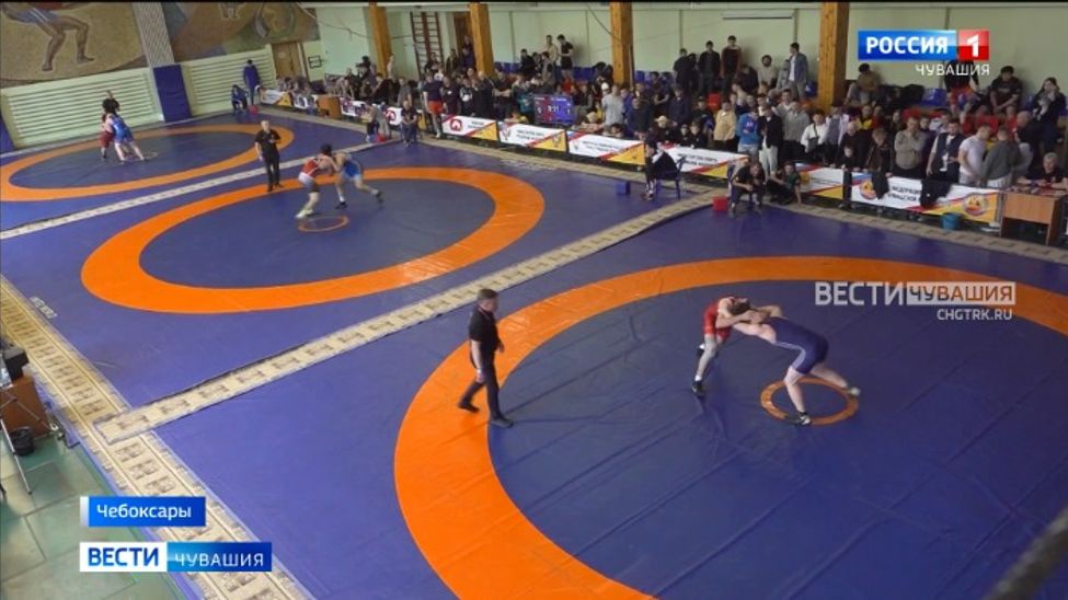 Борцы вольного стиля Чувашии завоевали 11 медалей Всероссийского турнира памяти Василия Чапаева