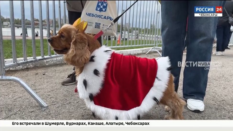 В Чебоксарах прошел 3-й парад собак