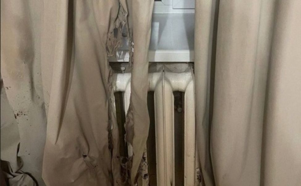 Мошенники заставили студентку из Чебоксар раздеться и поджечь занавески