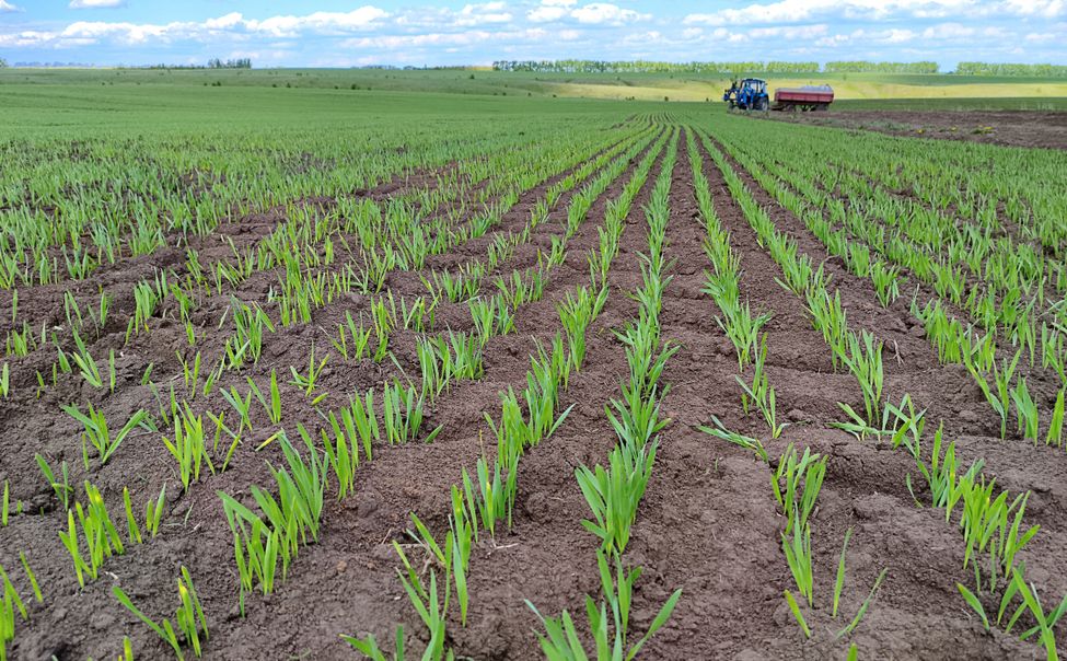 В Чувашии завершают сев яровых