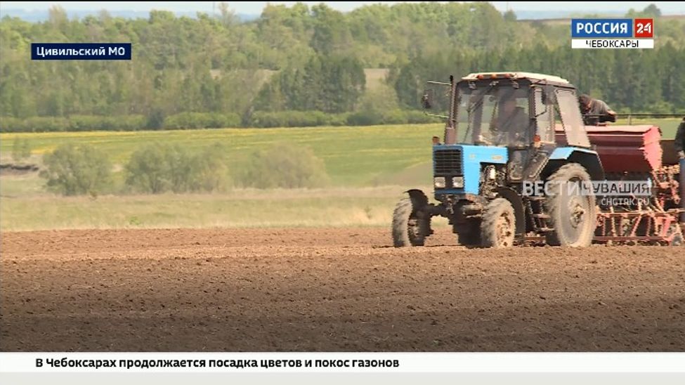 В Чувашии засеяно порядка 80% от запланированных площадей