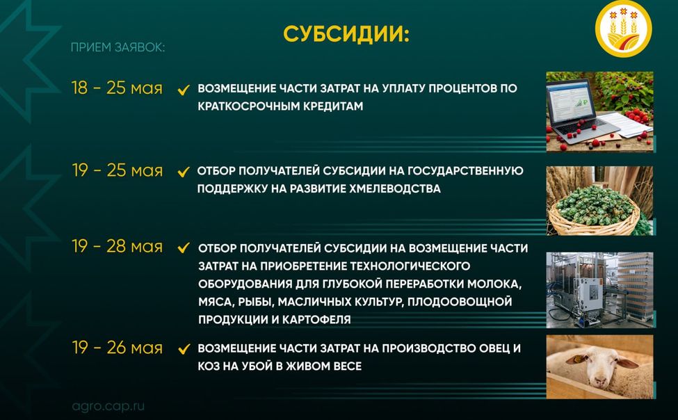 Минсельхоз Чувашии напомнил еще о 4-х видах господдержки, доступных аграриям