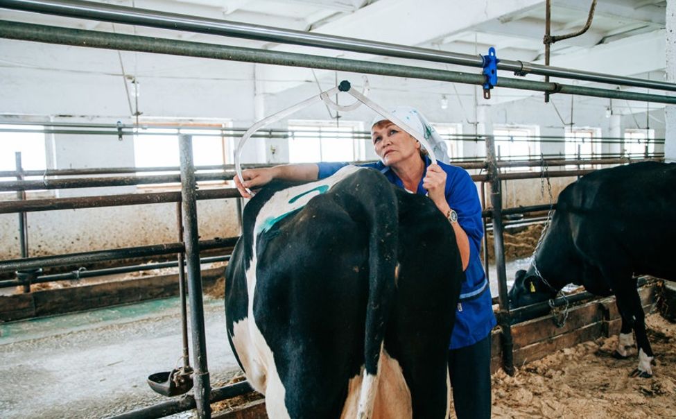 В Чувашии отбор для участия в конкурсе «Лучший по профессии» пройдет до 26 мая