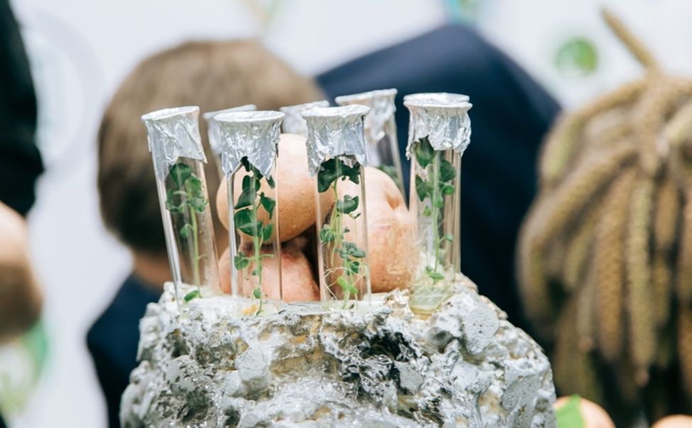 Грант «Агростартап» в Чувашии набирает популярность