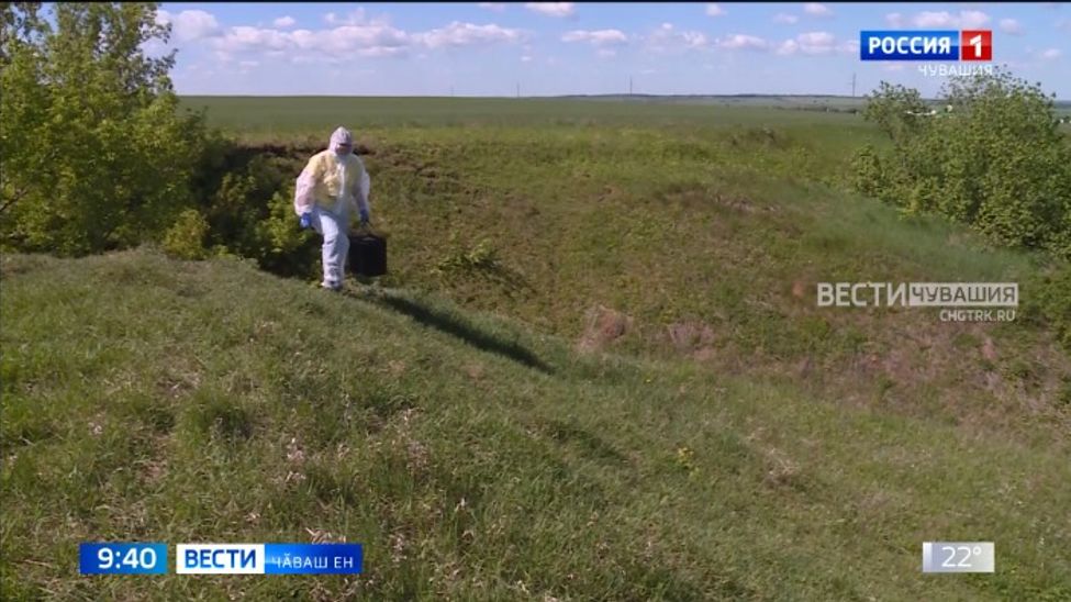 Тискер чӗрчунсене те чиртен хӳтӗлемелле