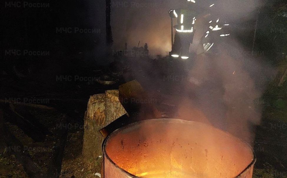 В Чебоксарах дачники спалили дом, сжигая мусор