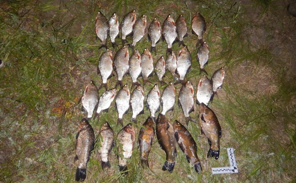 В Чувашии задержали браконьера, вылавливавшего рыбу сетью