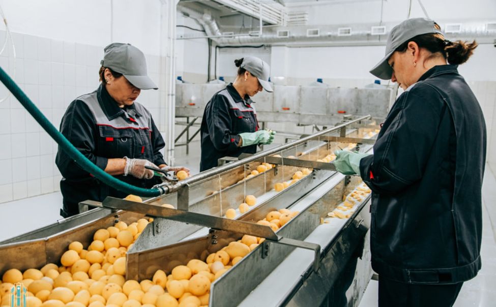 В Чувашии открылся современный цех по переработке и упаковке овощей