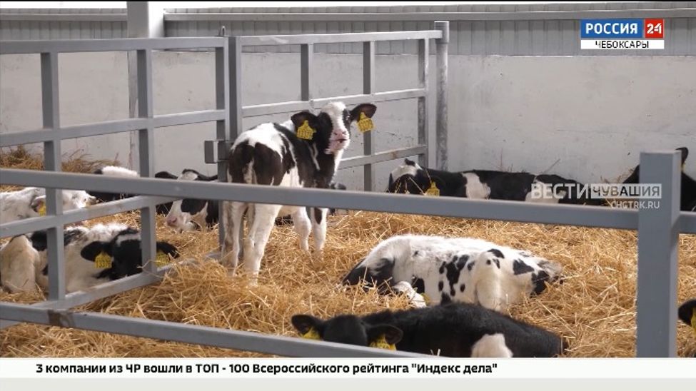 За 5 лет Чувашия намерена в 1,5 раза нарастить экспорт продукции АПК 