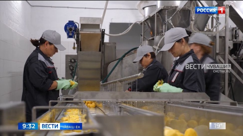 Чӑваш Енре пахча-ҫимӗҫ тирпейлекен цех уҫӑлчӗ