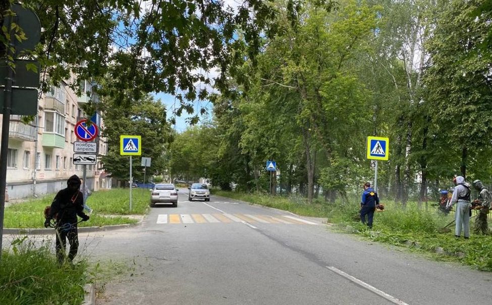 В Чебоксарах завершился июньский покос травы