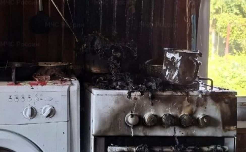 В Алатыре пожарные спасли пенсионерку из горящего дома