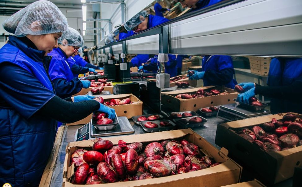 20 фермеров Чувашии получат увеличенный грант «Агростартап»