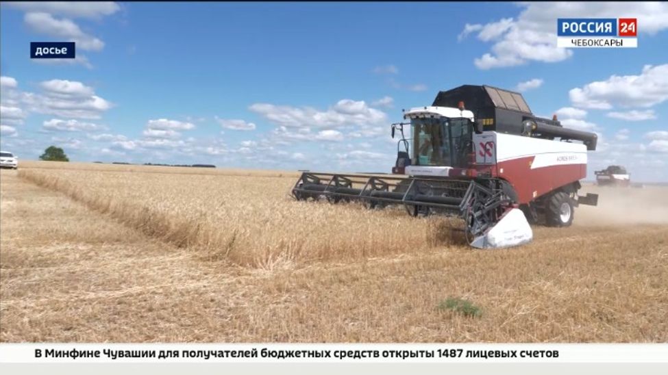 В Чувашии стартовал приём заявок на три вида субсидий для аграриев