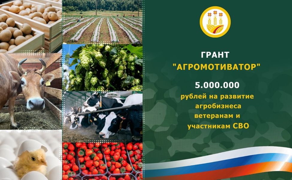 В Чувашии два участника СВО получат гранты по 5 млн рублей на развитие агробизнеса 