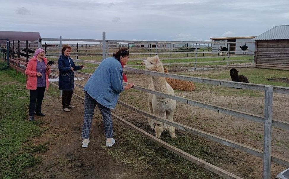 «Серебряные» волонтеры Чувашии посетили страусиную ферму