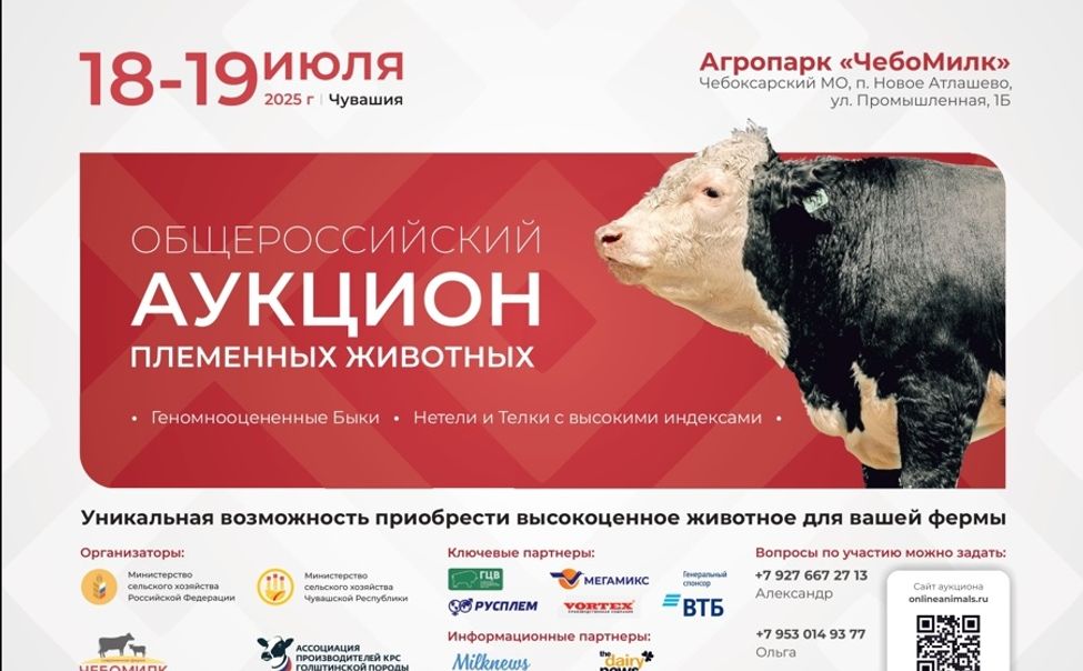 Чувашия принимает II Общероссийский аукцион племенных животных