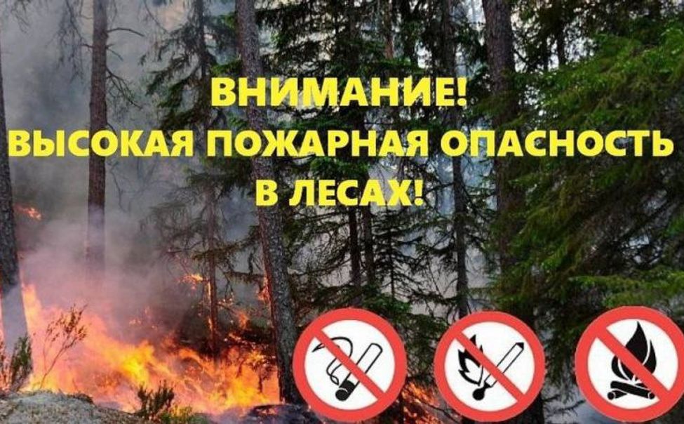 В Чувашии из-за угрозы лесных пожаров объявлен ЖЁЛТЫЙ уровень опасности