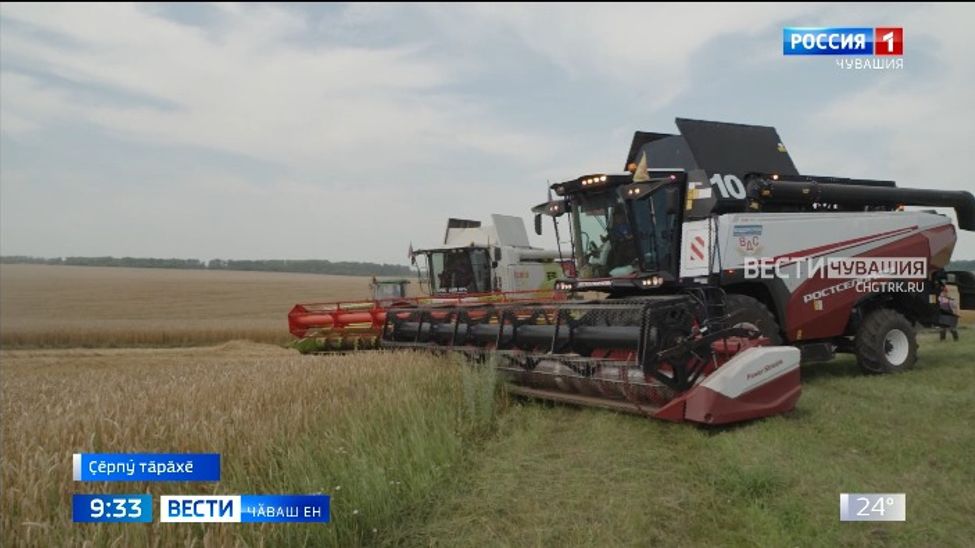 Республикӑра вырма пуҫланчӗ