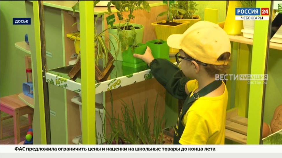 Оксана Лут предложила распространить по стране опыт Чувашии по созданию агролабораторий в детсадах