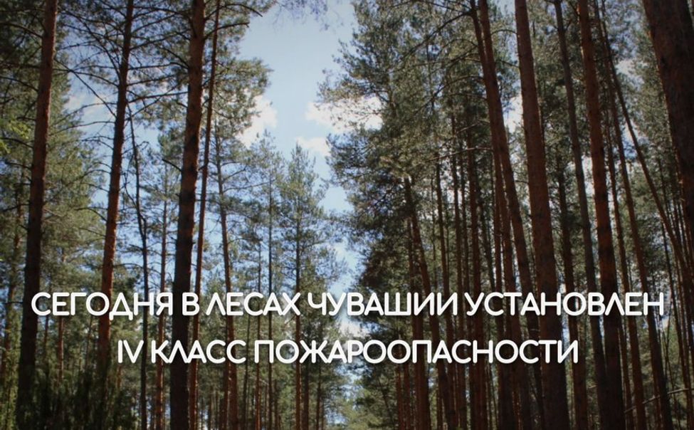 В лесах Чувашии объявлен IV класс пожарной опасности