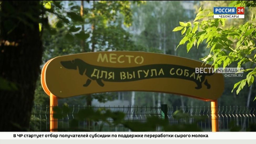 В Чебоксарах за 4 года появилось 15 площадок для выгула и тренировки собак