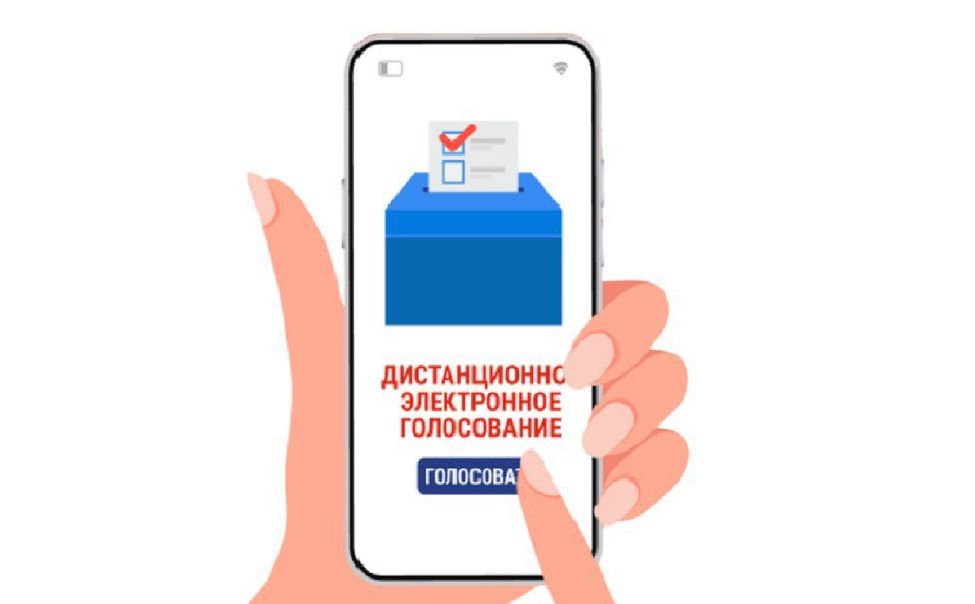 На Госуслугах начался прием заявлений на дистанционное голосование в Чувашии