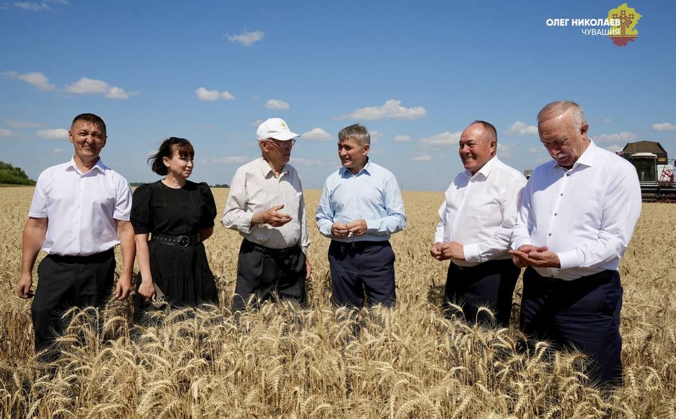 Олег Николаев оценил ход полевых работ в Яльчикском округе