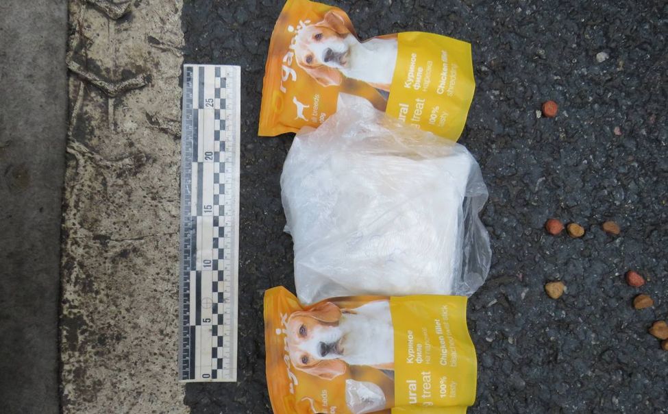 Петербурженку задержали в Чувашии с 4 кг наркотиков в упаковках от собачьего корма