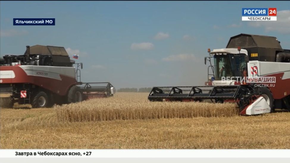 В Чувашии намолочено свыше 103 тысяч тонн зерна