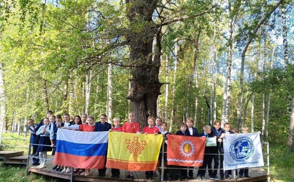 Шумерлинский дуб занял 2 место в конкурсе «Российское дерево года – 2025»