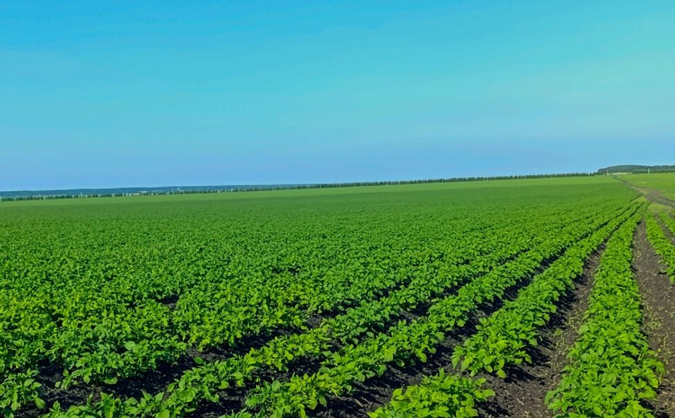 В Чувашии стартовал прием заявок на грант «Перспектива»