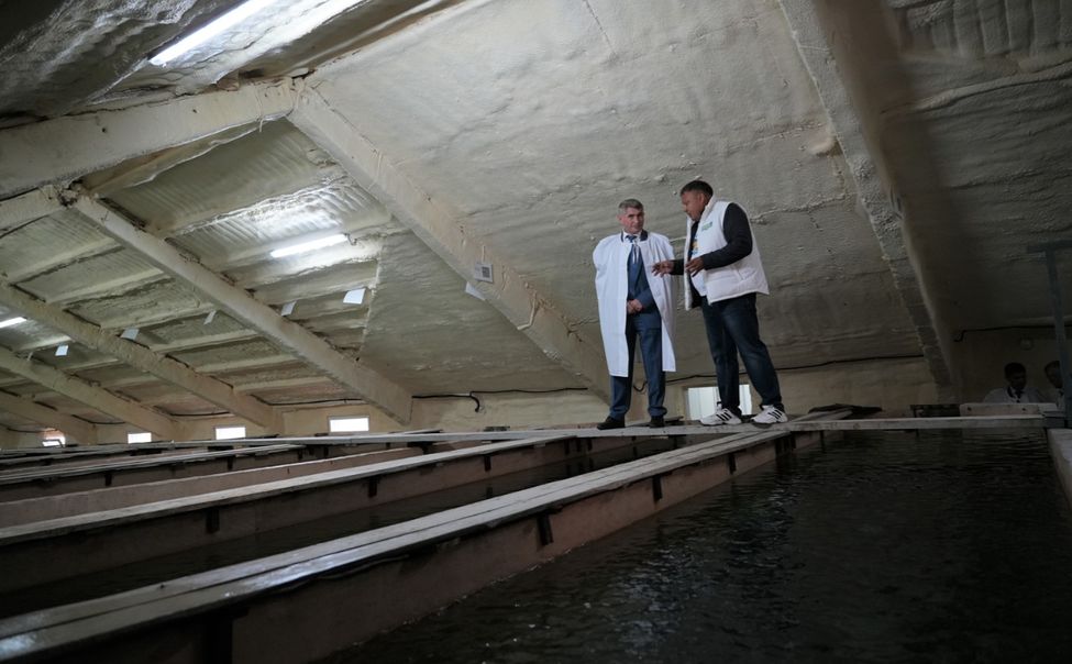 Олег Николаев оценил планы развития форелевого хозяйства в Янтиковском округе