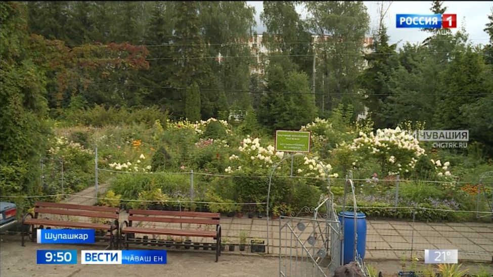 Туристсене илӗртекен хальхи пурнӑҫпа килӗшсе тӑракан вырӑн пулмалла