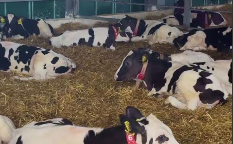 В Чувашии в рамках реализации стратегии модернизации АПК открыли новую ферму 