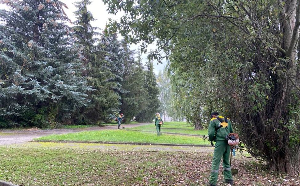 В Чебоксарах приступили к сентябрьскому покосу