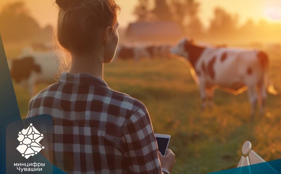 Жители Чувашии могут проголосовать на Госуслугах за подключение своей деревни к скоростному интернету