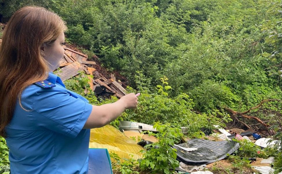 Прокуратура потребовала очистить Ибреси от несанкционированных свалок мусора